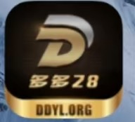 多多28100+100